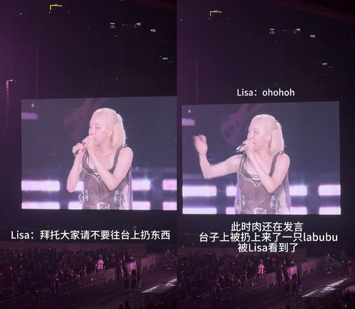 ▲▼lisa。 （图/翻摄自小红书）