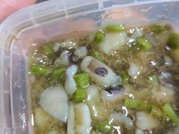 ▲▼芥末章魚驚見「藍環」觸角　他嘴唇發麻衝急診：醫師說沒解藥。（圖／翻攝爆廢公社公開版）