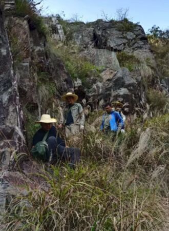 ▲▼未來「金屬之王」　湖南探獲4.9億噸超大型鋰礦床。（圖／翻攝湖南日報）