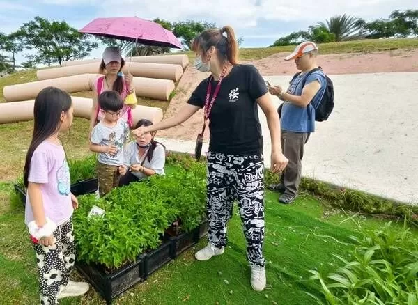 桃園33處環教場所　暑假親子暢遊CP值高