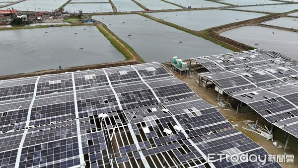 ▲▼             嘉義布袋新塭、義竹東後寮滯洪池的數百面水面型太陽能光電板破損。（圖／攝影中心攝，下同）