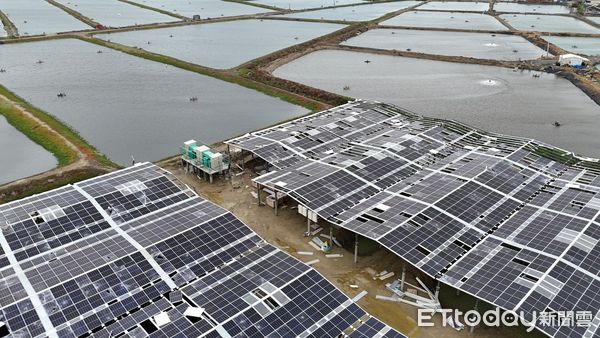 ▲▼             嘉義布袋新塭、義竹東後寮滯洪池的數百面水面型太陽能光電板破損。（圖／攝影中心攝，下同）