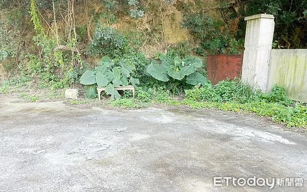 ▲桃園地檢署去年10月間新竹、雲林、桃園警方會同專勤隊偵辦泰國籍失聯移工死亡案起訴並具體求刑，桃園地院今天判決出爐，圖為移工棄置現場。（資料照／記者沈繼昌翻攝）