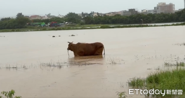 ▲▼金門大雨淹水。（圖／記者林名揚翻攝）