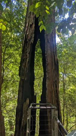 ▲▼藍山國家公園。（圖／部落客Travel with Leo授權提供）