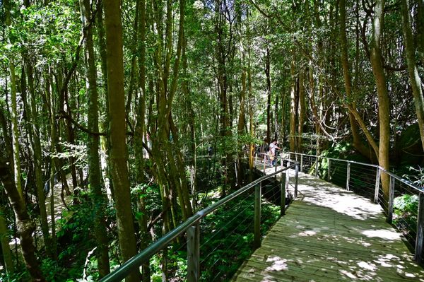 ▲▼藍山國家公園。（圖／部落客Travel with Leo授權提供）