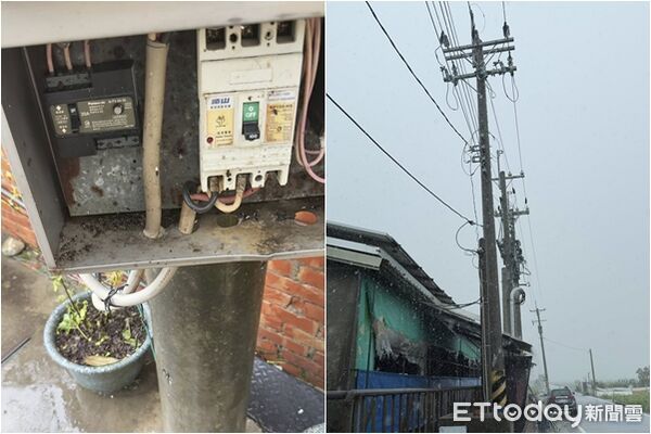 ▲▼嘉義養豬場豬隻遭高壓電電死。（圖／嘉義縣養豬協會理事長林志達提供）