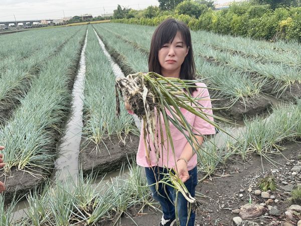 ▲埔鹽鄉道路全是稻梗。（圖／埔鹽鄉長許文萍提供）