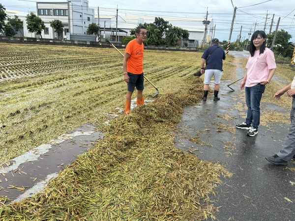 ▲埔鹽鄉道路全是稻梗。（圖／埔鹽鄉長許文萍提供）