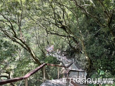 雙流森林遊樂區恢復開園　涉水區域需繞道
