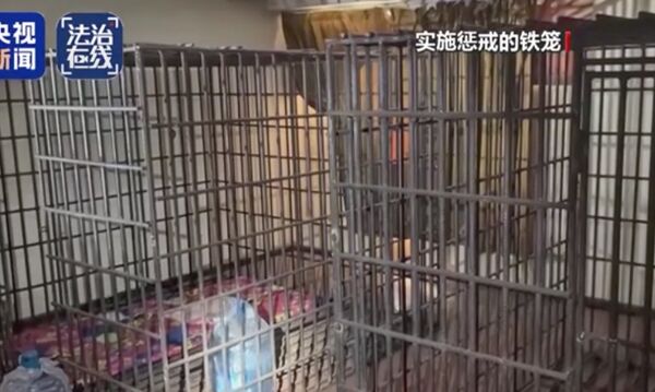 ▲▼ 大陸央視首次曝光白家集團電詐牢籠、犯罪殘忍手法、菜刀斷指當事人現身說法            。（圖／翻攝 央視）