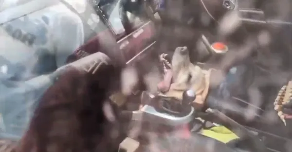 ▲▼             。（圖／翻攝自X）