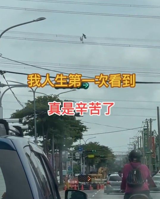 ▲▼台電人員高空維修。（圖／Threads／yeaphone2提供）