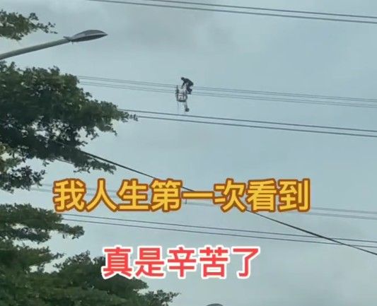 ▲▼台電人員高空維修。（圖／Threads／yeaphone2提供）
