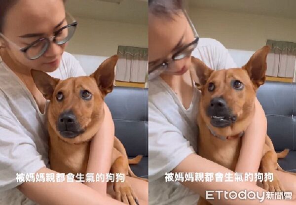▲。（圖／有點毛毛的／胡浚崴提供）