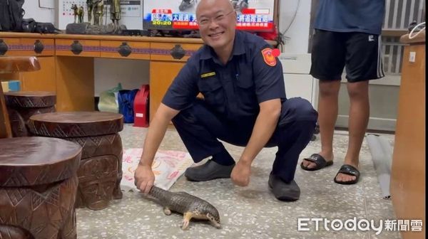 ▲潮州警分局員警將穿山甲帶回派出所保護 。（圖／記者陳崑福翻攝）