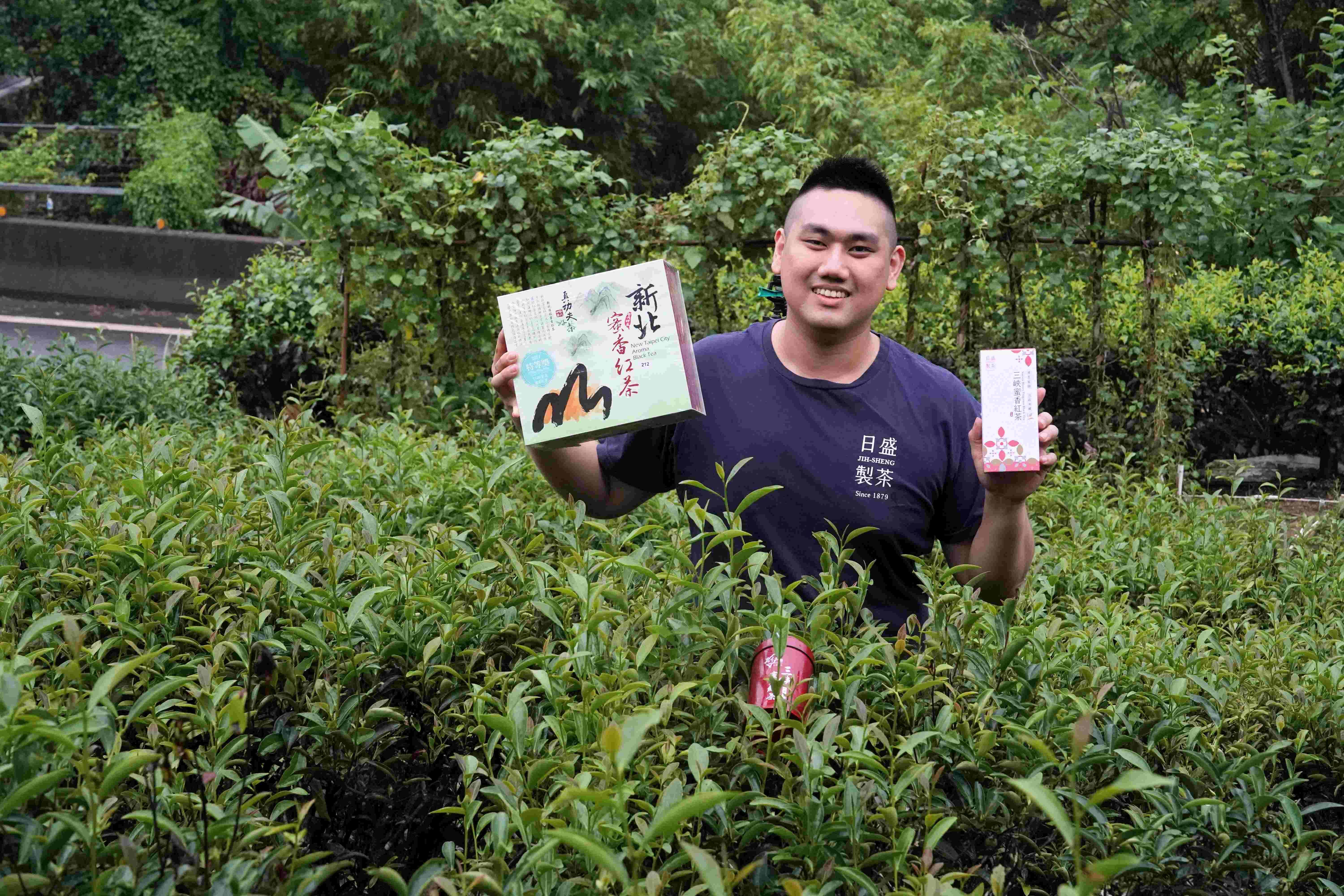 ▲新北蜜香紅茶評鑑 三峽青農周子耀3連冠。（圖／新北市農業局提供）