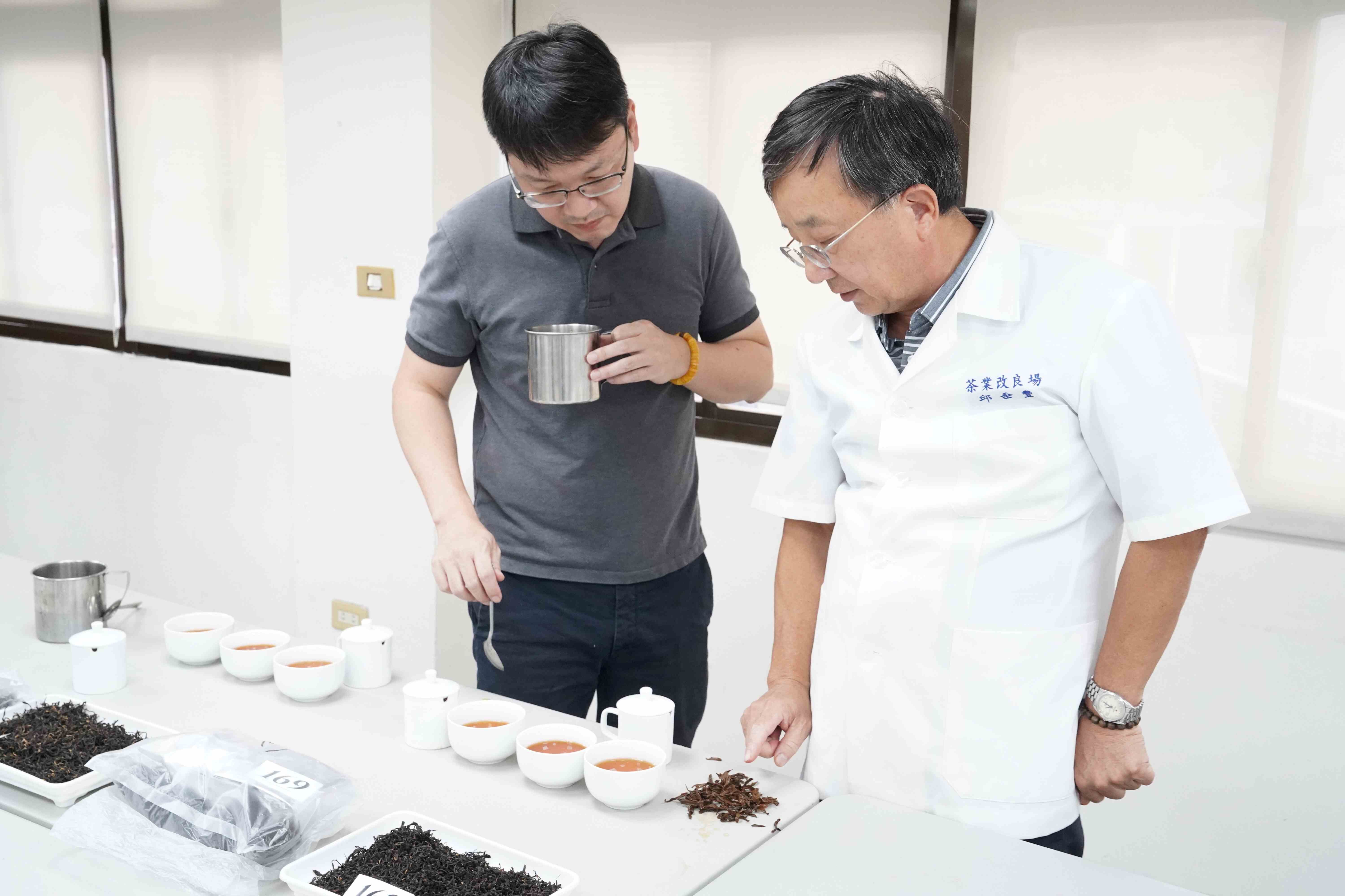 ▲新北蜜香紅茶評鑑 三峽青農周子耀3連冠。（圖／新北市農業局提供）