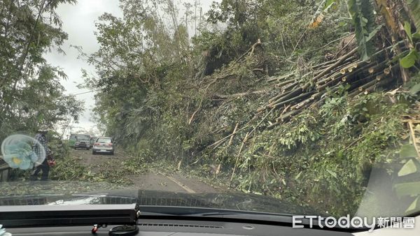 ▲罷免陳玉鈴案領銜人蔡宜助今天上午完成投票，途中遭遇傾倒樹木阻路。（圖／罷免陳玉鈴團體提供）