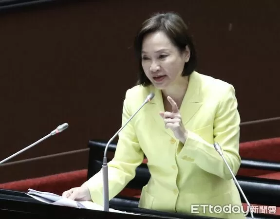 ▲▼柯志恩 質詢  大法官被提名人 立法院 。（圖／記者屠惠剛攝）