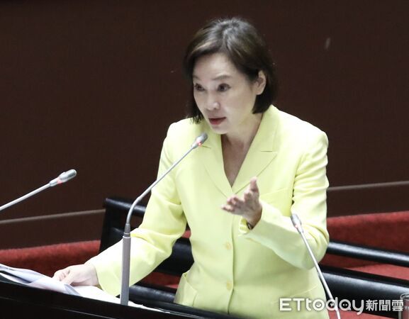 ▲▼柯志恩 質詢  大法官被提名人 立法院 。（圖／記者屠惠剛攝）