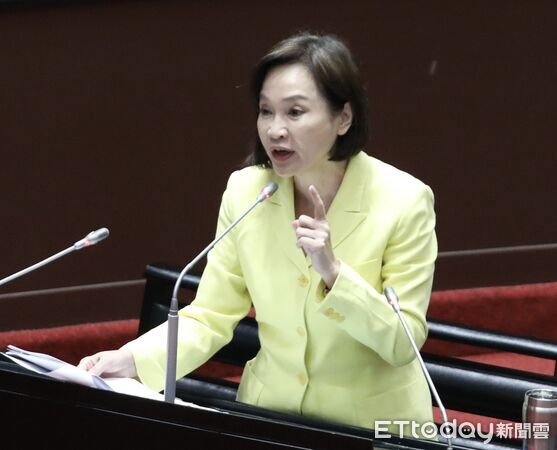 ▲▼柯志恩 質詢  大法官被提名人 立法院 。（圖／記者屠惠剛攝）