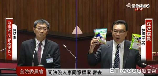 ▲民眾黨立委林國成（右）與大法官被提名人陳慈陽（左）。（圖／國會頻道）