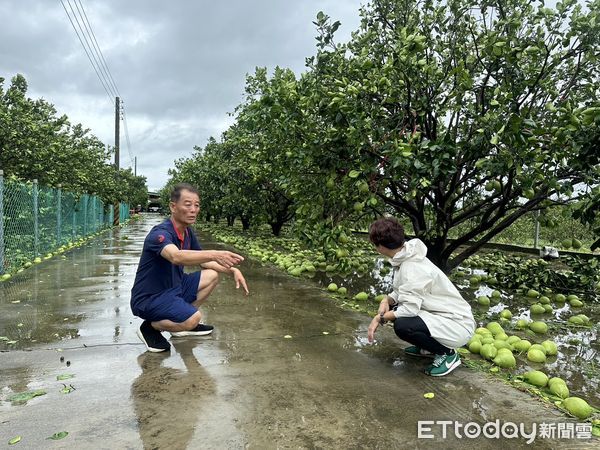 ▲立委陳亭妃呼籲中央鬆綁農保與貸款制度，從寬協助台南災後農漁民重建。（記者林東良翻攝，下同）