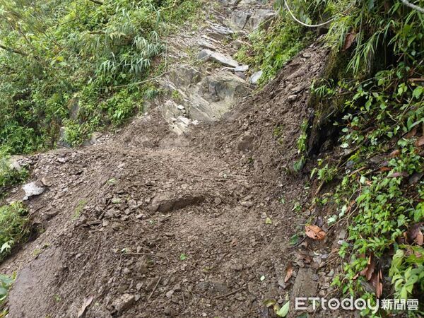 ▲北大武山1.51K現況。（圖／林業及自然保育署屏東分署提供）