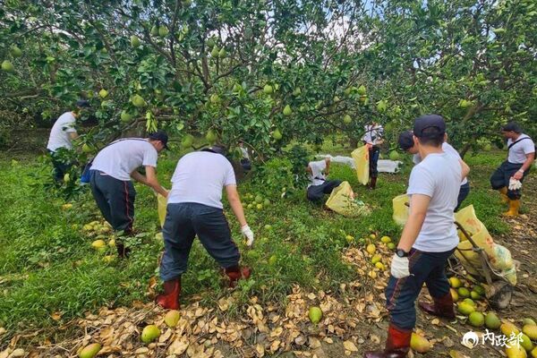 ▲▼內政部派1,350 位替代役青年搭乘40部專車，分批前往台南、嘉義、雲林等災後現場。（圖／內政部提供）