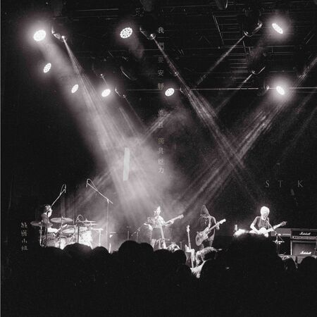 ▲▼ The Novembers、絲襪小姐、恐龍的皮。（圖／笨道策展有限公司提供）