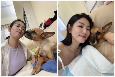 米可白悼念癌逝愛犬「睜著眼睛離世」！　心碎喊：謝謝你選擇我
