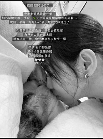 ▲米可白愛犬「錢錢」因罹患胃癌不幸離世。（圖／翻攝自Facebook／米可白）