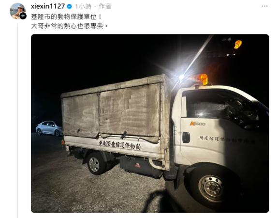 ▲▼謝忻路邊撿到「陸龜」求救　網驚：這是保育類！（圖／翻攝自Threads／xiexin1127）