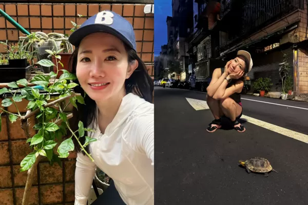 ▲▼謝忻路邊撿到「陸龜」求救　網驚：這是保育類！（圖／翻攝自謝忻臉書及Threads）