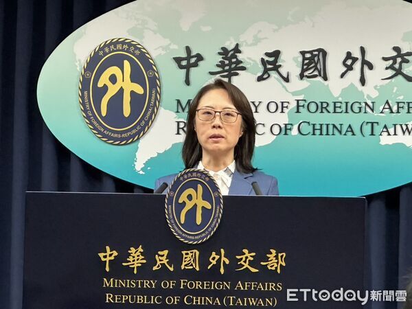 ▲▼外交部公眾會副執行長陳怡君。（圖／記者詹詠淇攝）