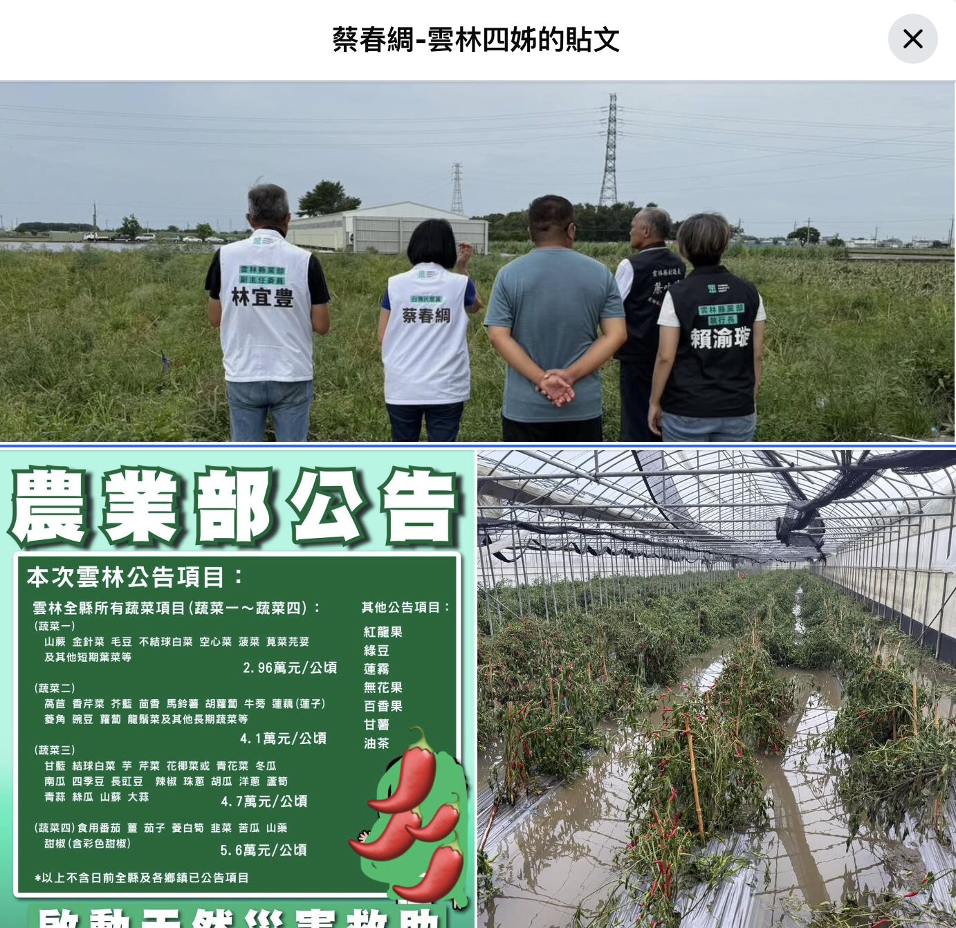 ▲▼民眾黨候任立委蔡春綢盜劉建國圖卡，還用辣椒塗改被網友狂酸。（圖／翻攝自蔡春綢臉書）
