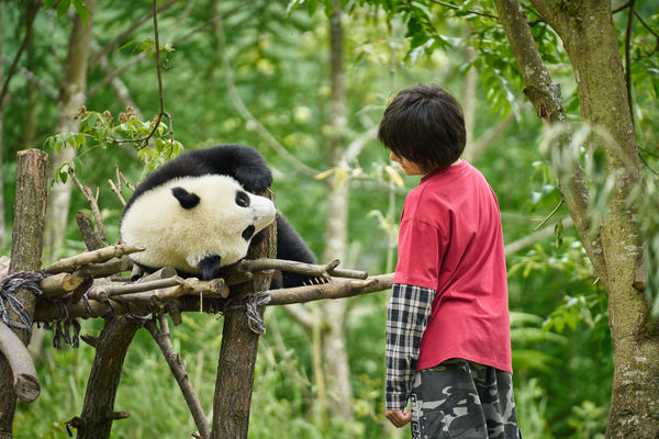 ▲《熊貓月寶》由張艾嘉與劉燁參與演出，劉燁的兒女劉諾一、劉霓娜也一同亮相。（圖／壹壹喜喜電影股份有限公司提供）