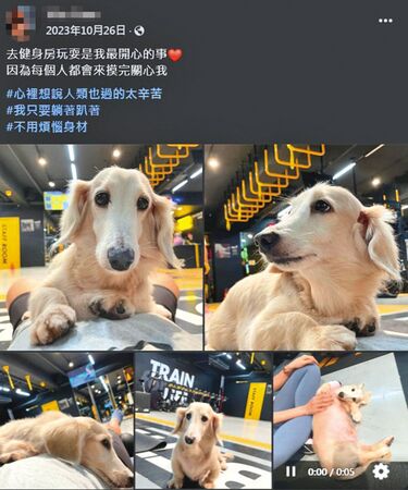 難得公開的生活日常，黃柏漙女密友卻分享了與狗狗的互動，可見也是愛狗一族。（翻攝自女密友臉書）