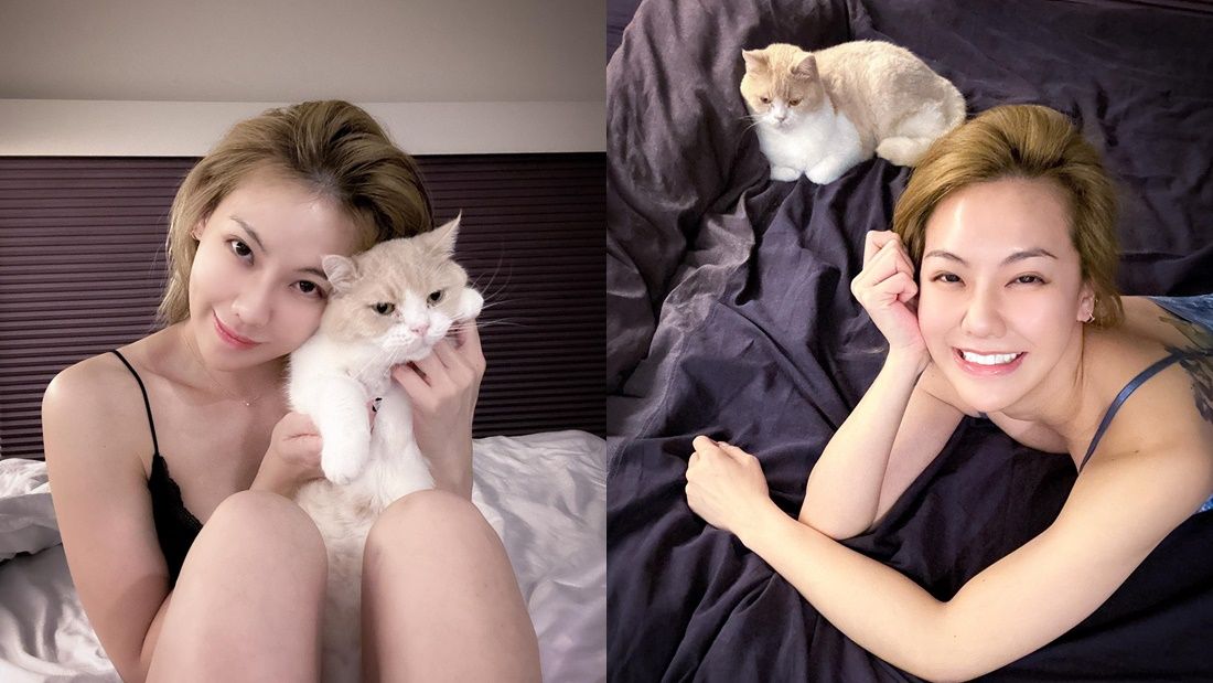 ▲▼劉雨柔愛貓走了。（圖／翻攝自Facebook／劉雨柔）