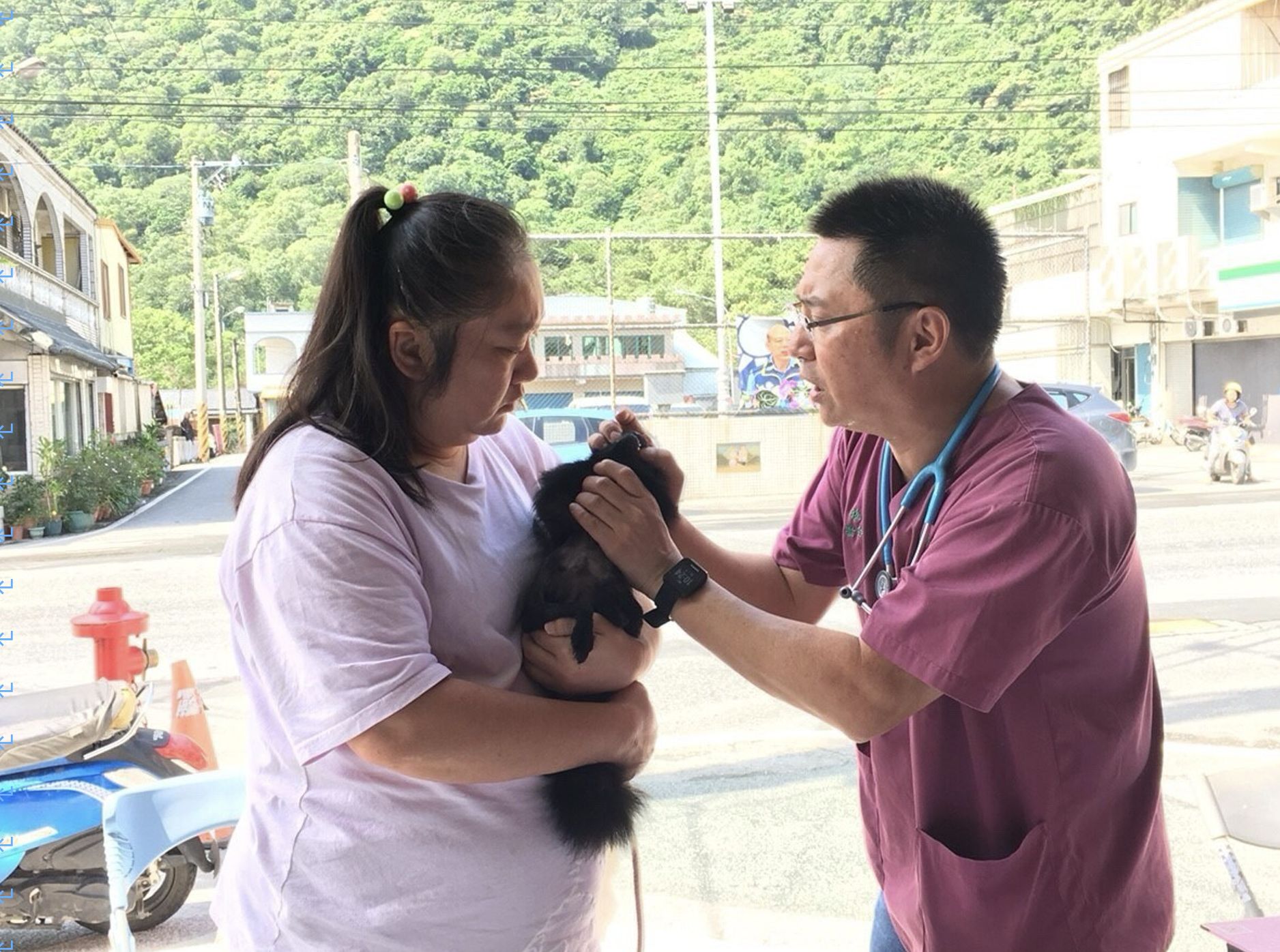 幼貓有跳蚤怎麼辦？觀察症狀、選對幼貓除蚤產品及環境清潔不可少