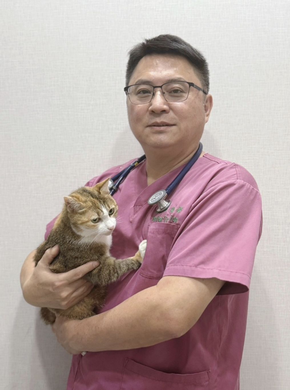 幼貓除蚤其中一個關鍵，從環境打掃做起