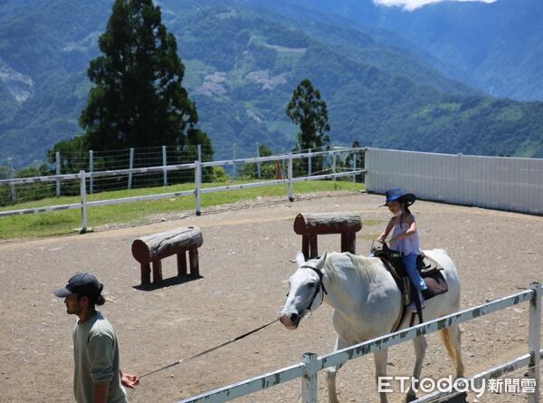 ▲清境農場馬匹咬傷幼童右耳案纏訟5年，二審判決月前出爐，圖非當事馬匹和遊客。（圖／資料照片）