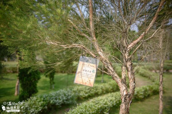 ▲▼艾米達精靈谷茶樹莊園。（圖／部落客滿分的旅遊札記授權提供）