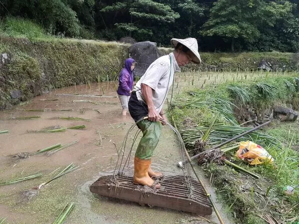 ▲世界蛇日響應保育 新北農田記錄5種原生蛇類。（圖／新北市農業局提供）