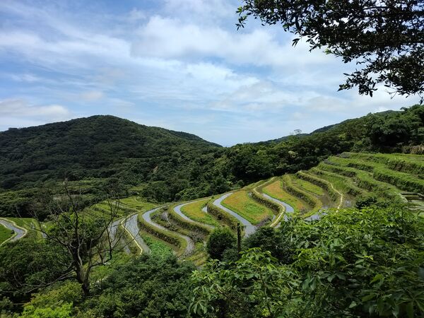 ▲世界蛇日響應保育 新北農田記錄5種原生蛇類。（圖／新北市農業局提供）
