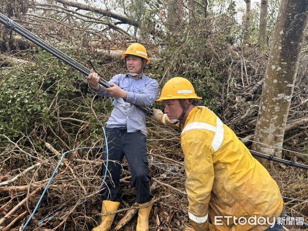 ▲台電新營區處動員逾千人搶修電力系統，力拚災後全面復電。（記者林東良翻攝，下同）