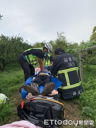 ▲林姓老翁慘遭搬運車夾困果樹，消防人員鋸斷樹林協助脫困，送醫宣告不治。（圖／記者楊永盛翻攝）