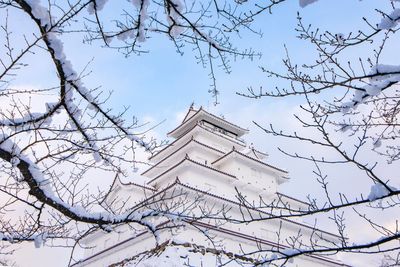 在日本東北雪國深處　遇見溫泉山城與百狐之森