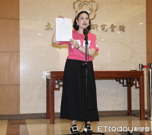 ▲▼吳思瑤  聯訪  台電工會相關  立法院。（圖／記者屠惠剛攝）